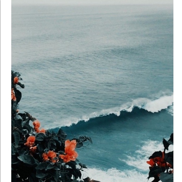 Meet your Posher, Phebe! - Picture 1 of 1